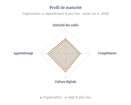Graphique de maturité organisationnelle